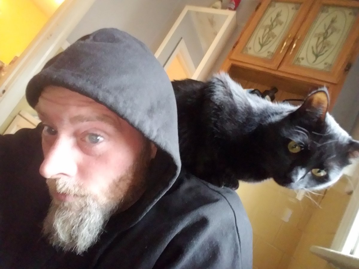 Charliephilbri1's tweet photo. When your trying to do your morning business but someone wants to look out the window. #jeffrey #catlife #humanperch https://t.co/yQc6qYLMn2