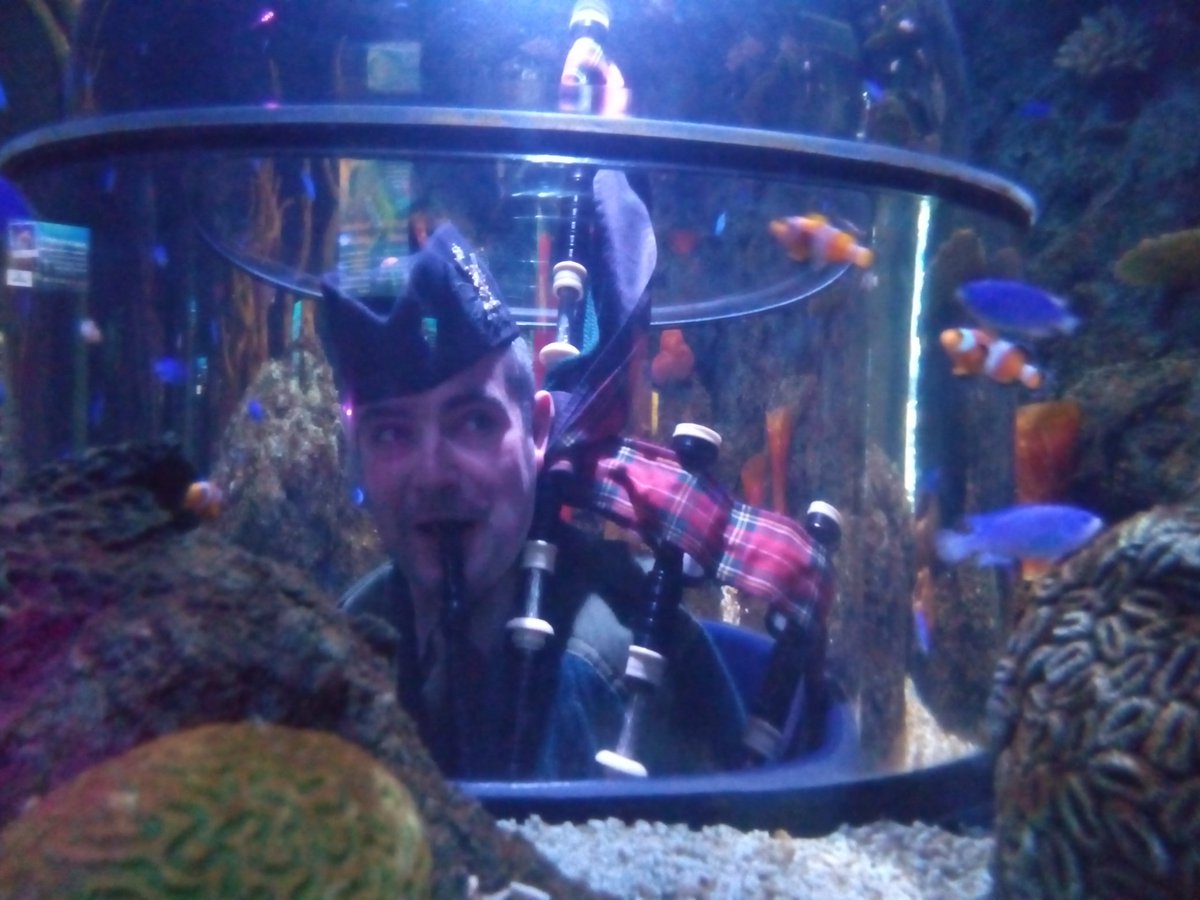 St Andrews Aquarium (FifeAquarium) Twitter