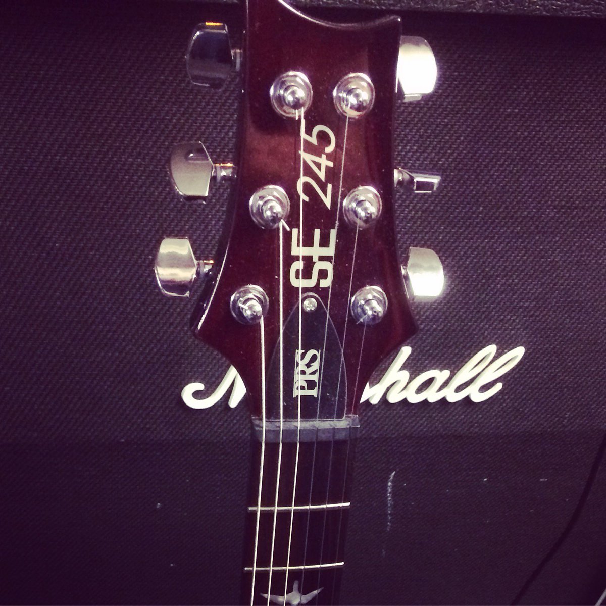 brain-on-a-stick tweet media