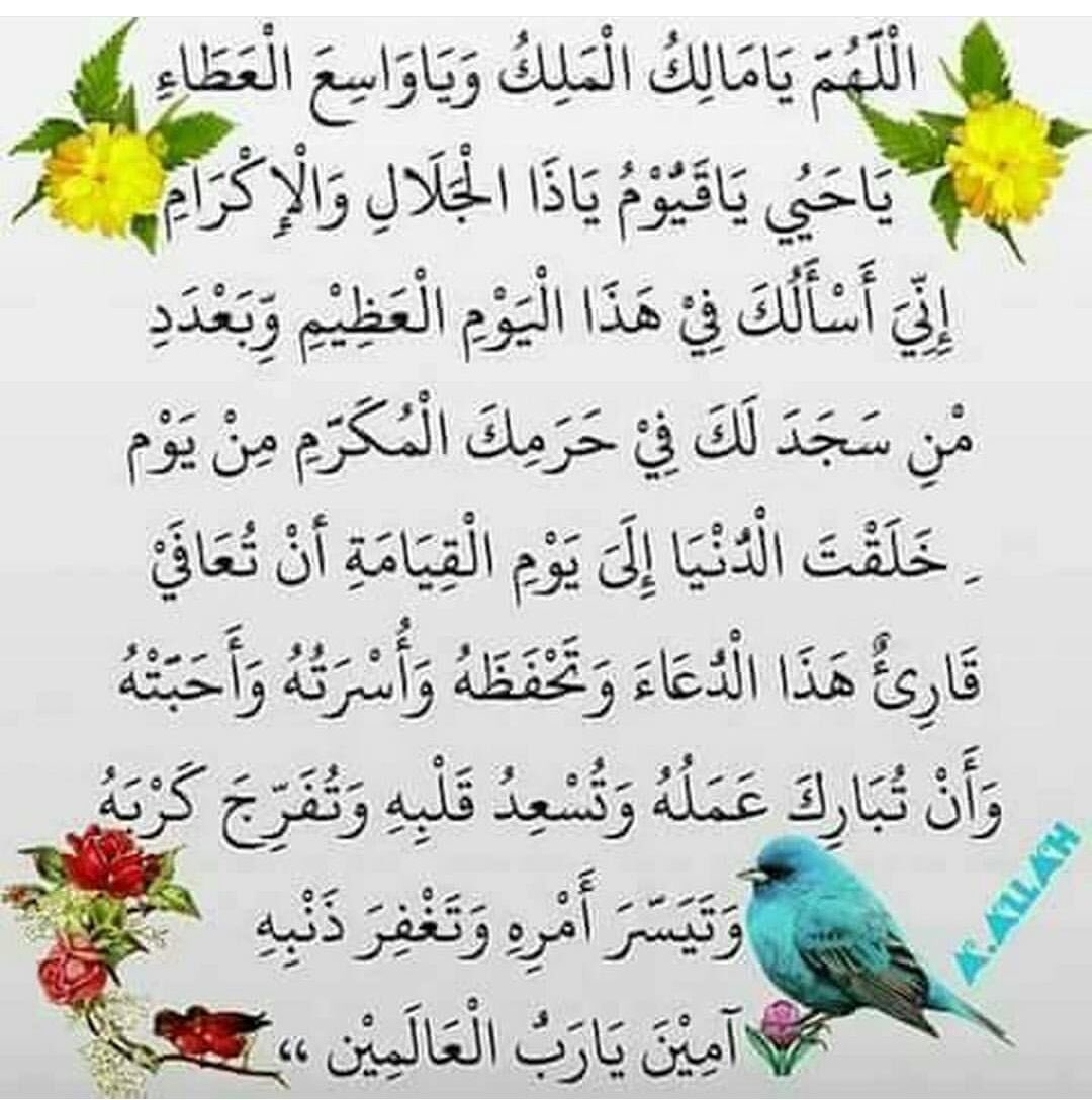 ابي ضمة طفل (@roro999882) on Twitter photo 