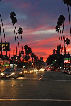 FindMeWithYou's tweet image. California☀️🌴