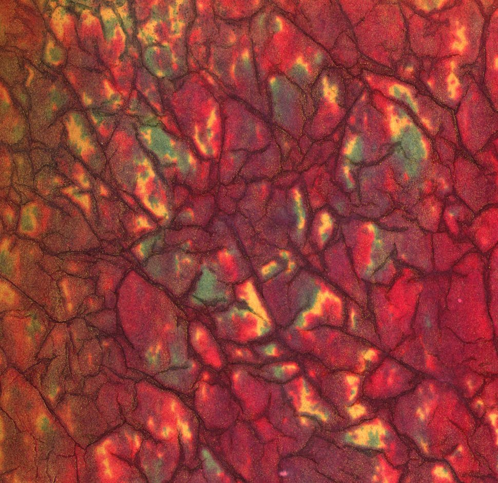 BaddeleyBros's tweet photo. 22/31. The University of Washington’s digital collection of decorative papers: https://t.co/7j6PgkKXye https://t.co/6rVd4W7UBd