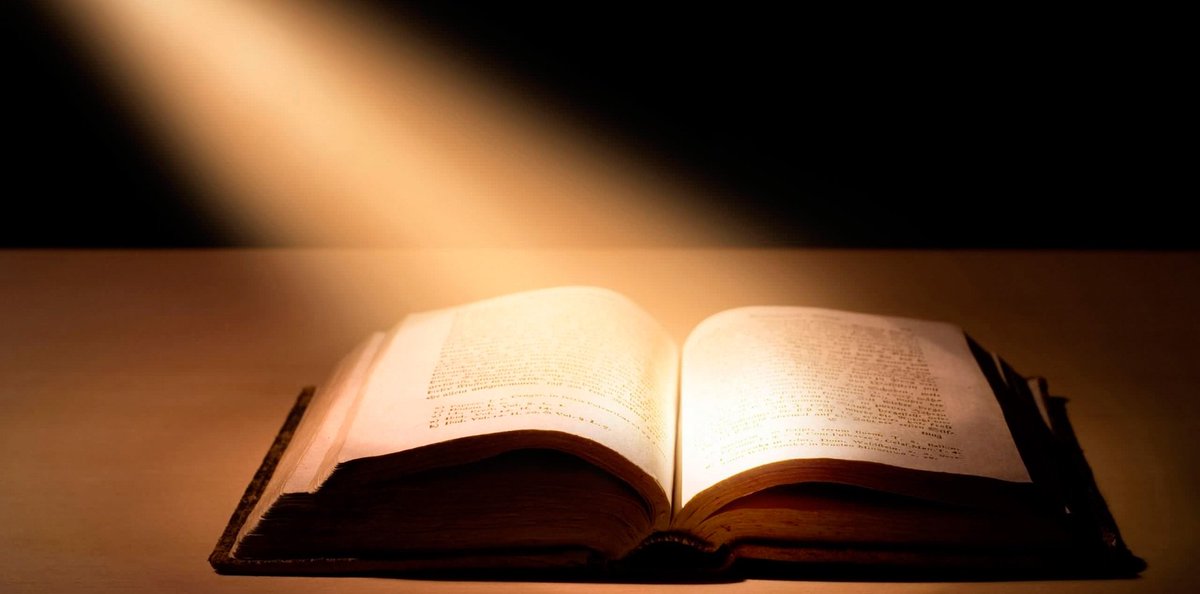 “Lo que no se prevé con la cabeza se aguanta con la espalda”. Anónimo.