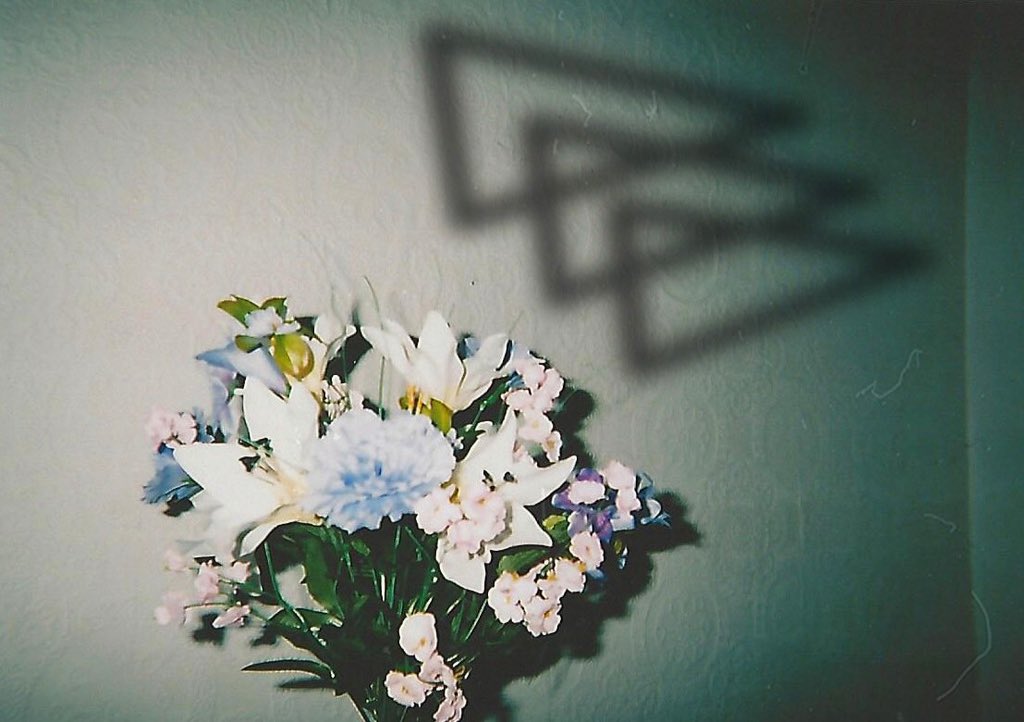 SANCTUARY 30.01.17 
#mannequin #nottingham #notts #floral #flowers #shadows #vintage #disposable #newmusic <a href="/BBCintroEMids/">BBC Music Introducing in The East Midlands</a> <a href="/domlikesrabbits/">Dom Gourlay</a>