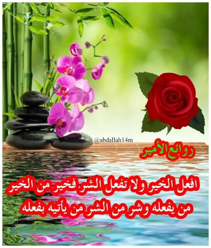 orodmkli20's tweet photo. من روائع أمير المؤمنين علي بن ابي طالب عليه السلام https://t.co/7XQ0lcs8UN