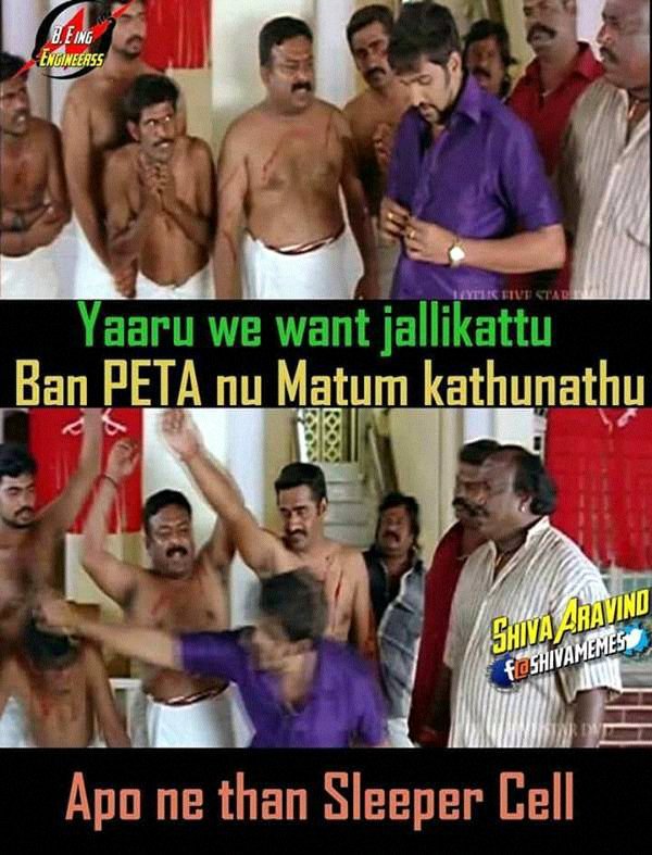 avadhaar's tweet image. கோக்-பெப்சி &amp;amp; ஜெர்சி பசு பற்றியெல்லாம் ஏன்
பேசுறிங்கனு கோவபடுறான் அந்த ஆதி,இவனுக்கு
அந்த பீட்டா தேவலாம் போல