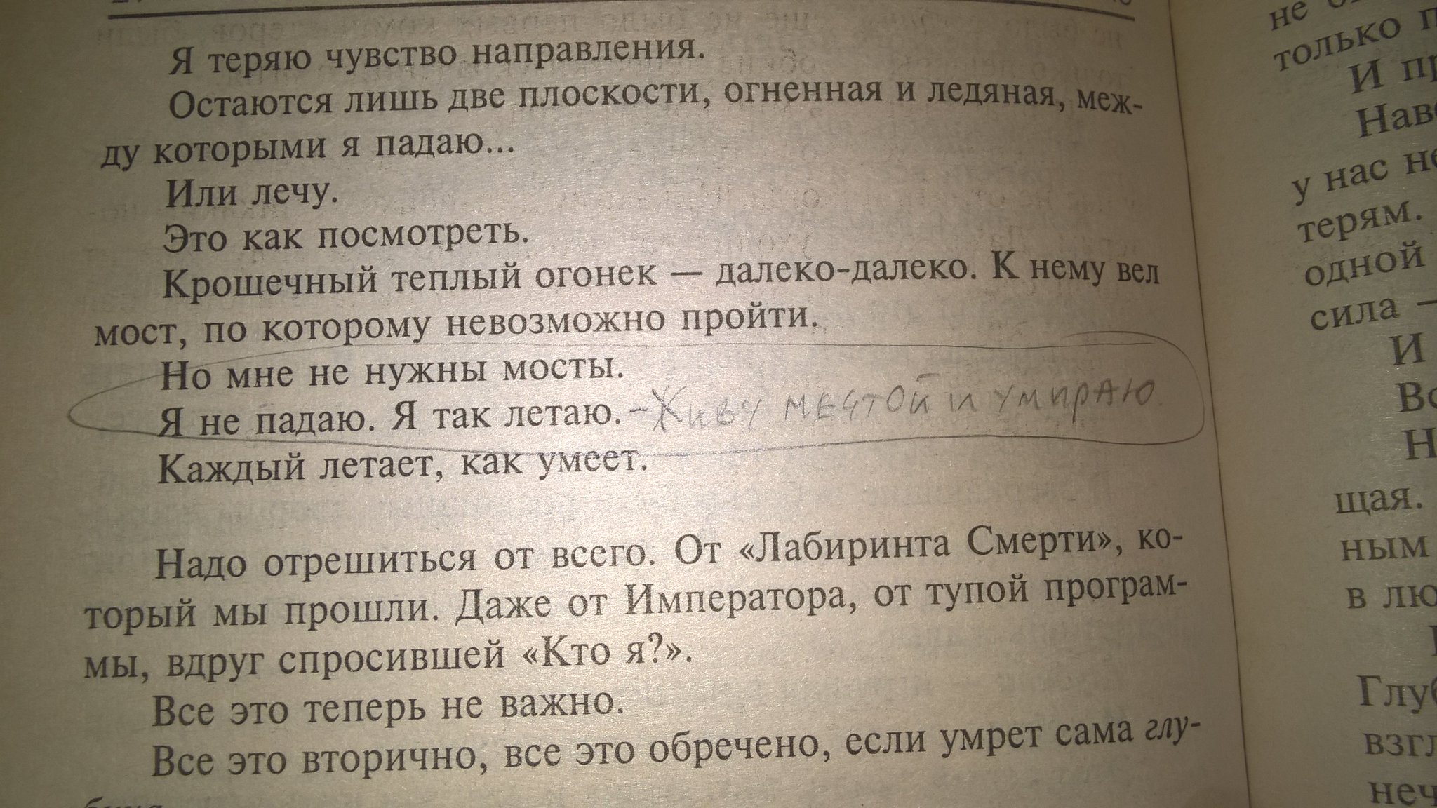 Назло Миру on Twitter: "#назломиру…