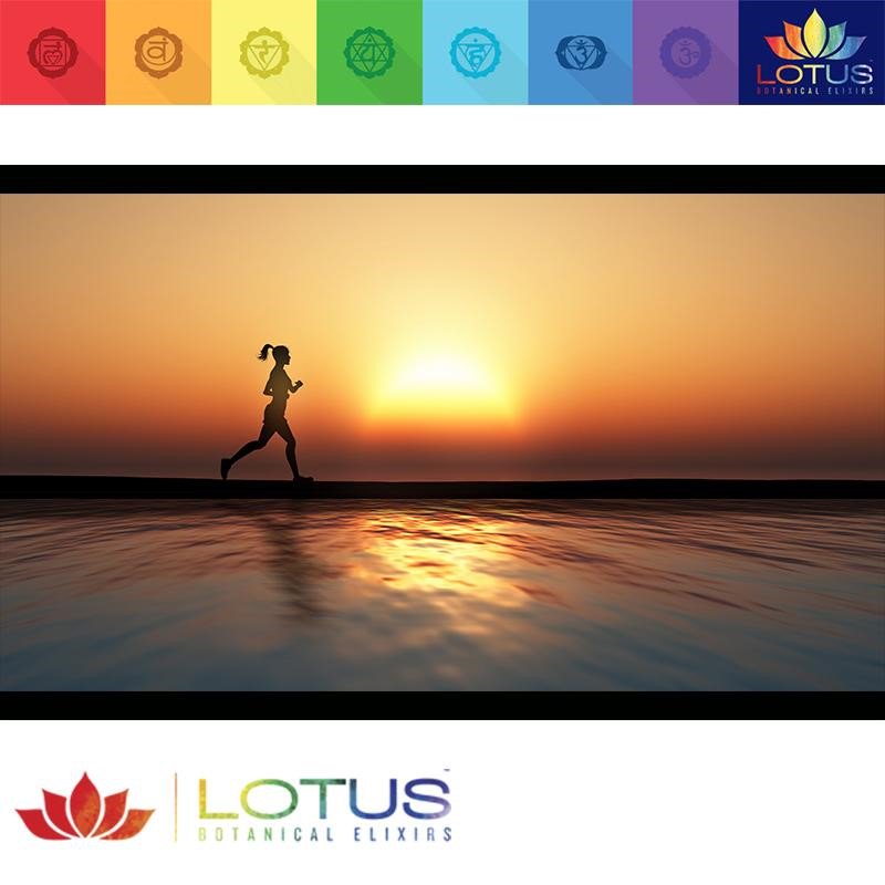 LotusElixirs's tweet photo. Our power source dates back thousands of years to the iconic Lotus flower and natureโs elite botanicals called Adaptogens. #LotusPower https://t.co/5Vu4QtjCtC