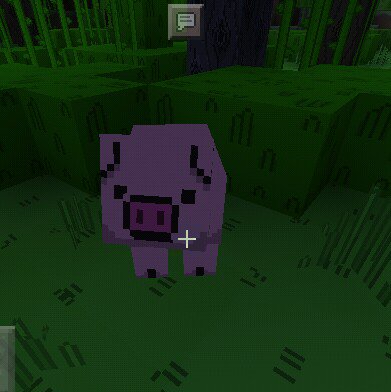 NConquerSAGE's tweet image. Soo cute!! Ruben!! 🐽