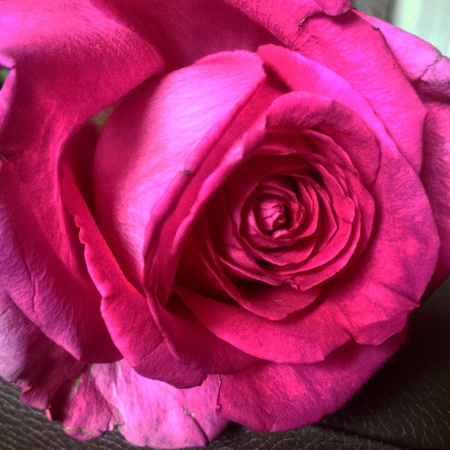 YULIA (@OfficialYulia) / X