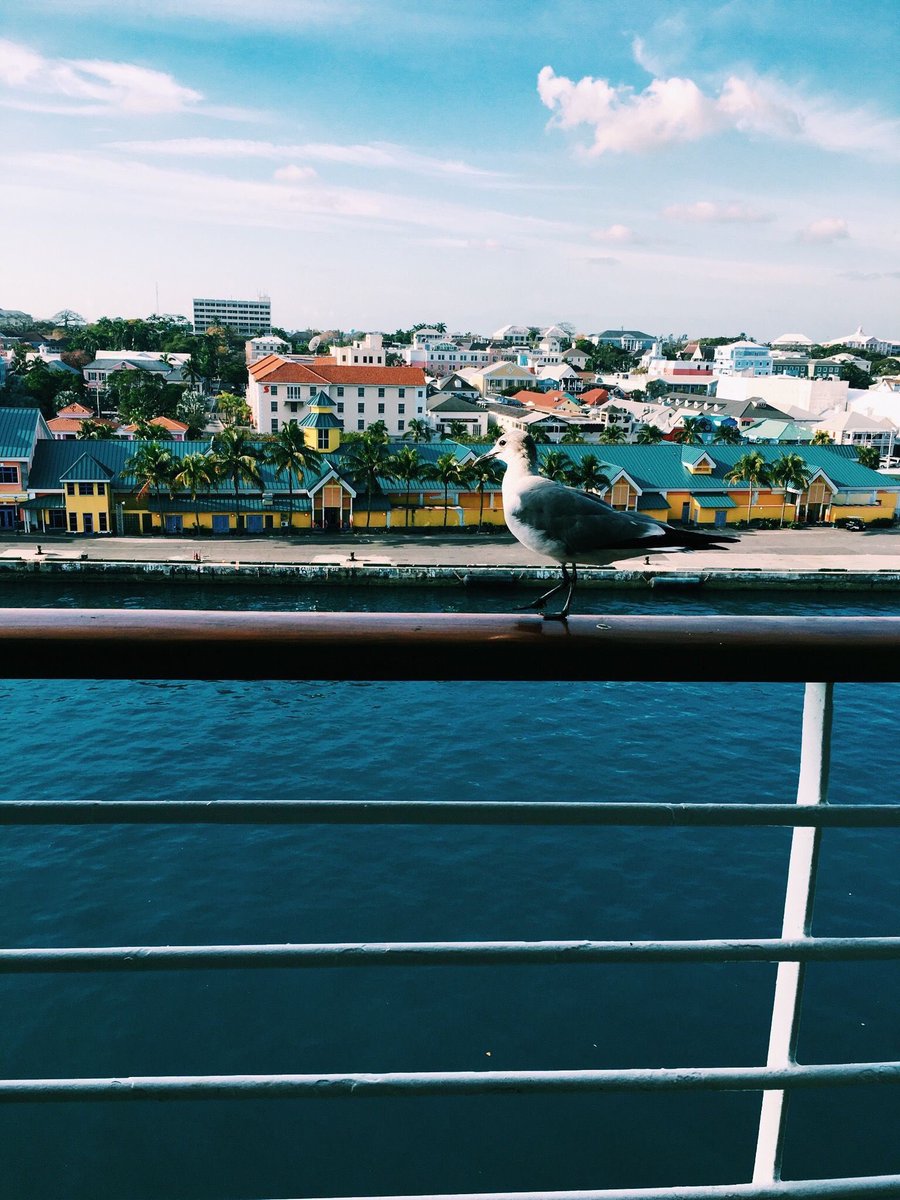 FindMeWithYou's tweet image. Bahamas 🌴🇧🇸