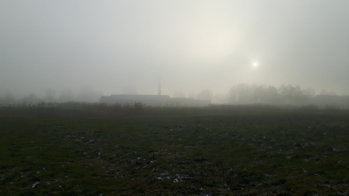Mistige taferelen rondom de steenfabriek. #winter #mist