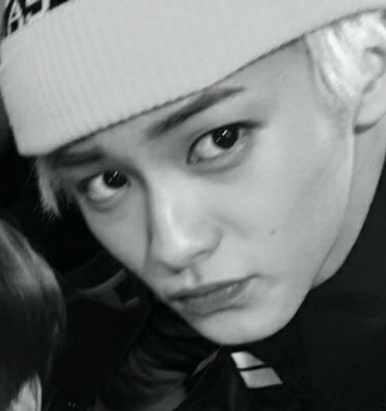 letsfvckP's tweet photo. 주기적으로 봐줘야하는 무쌍마크.. Zi존이다 https://t.co/2Uwu2m56ET