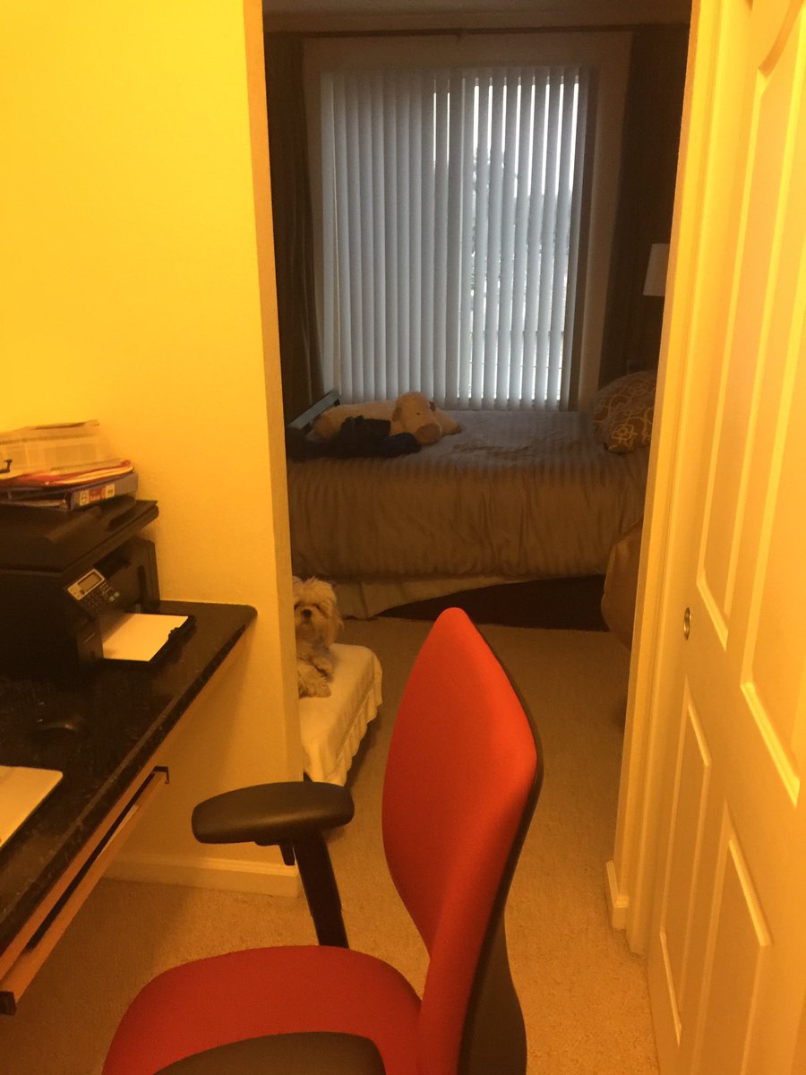 LarryChiang's tweet image. Before you manage a store, you&apos;re going to need to LURK &amp;amp; get that store mgr promoted to a better store #Silo2 @LarryChiang #GrowthHacking