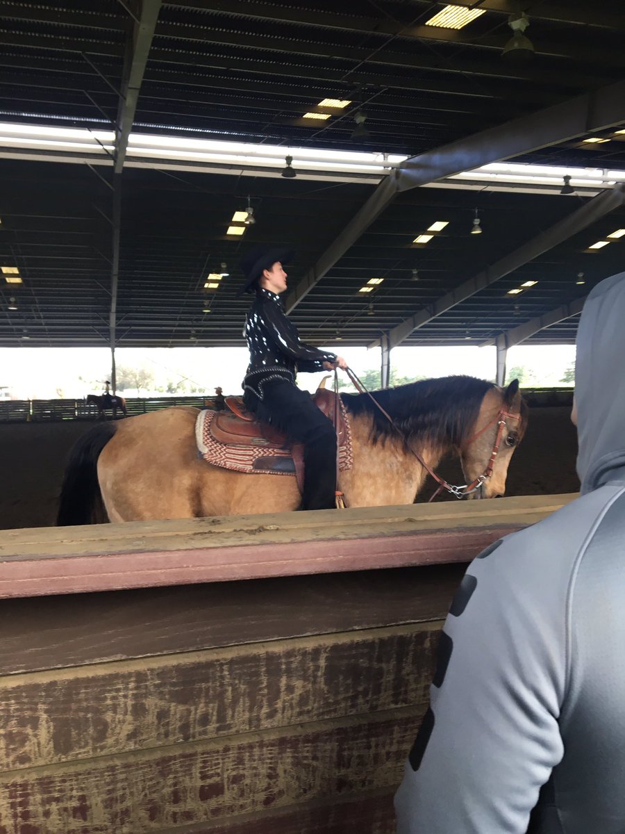 ssuequestrian's tweet photo. Chelsey Chapman looking good in 12B! https://t.co/nwqFJ1AR2n