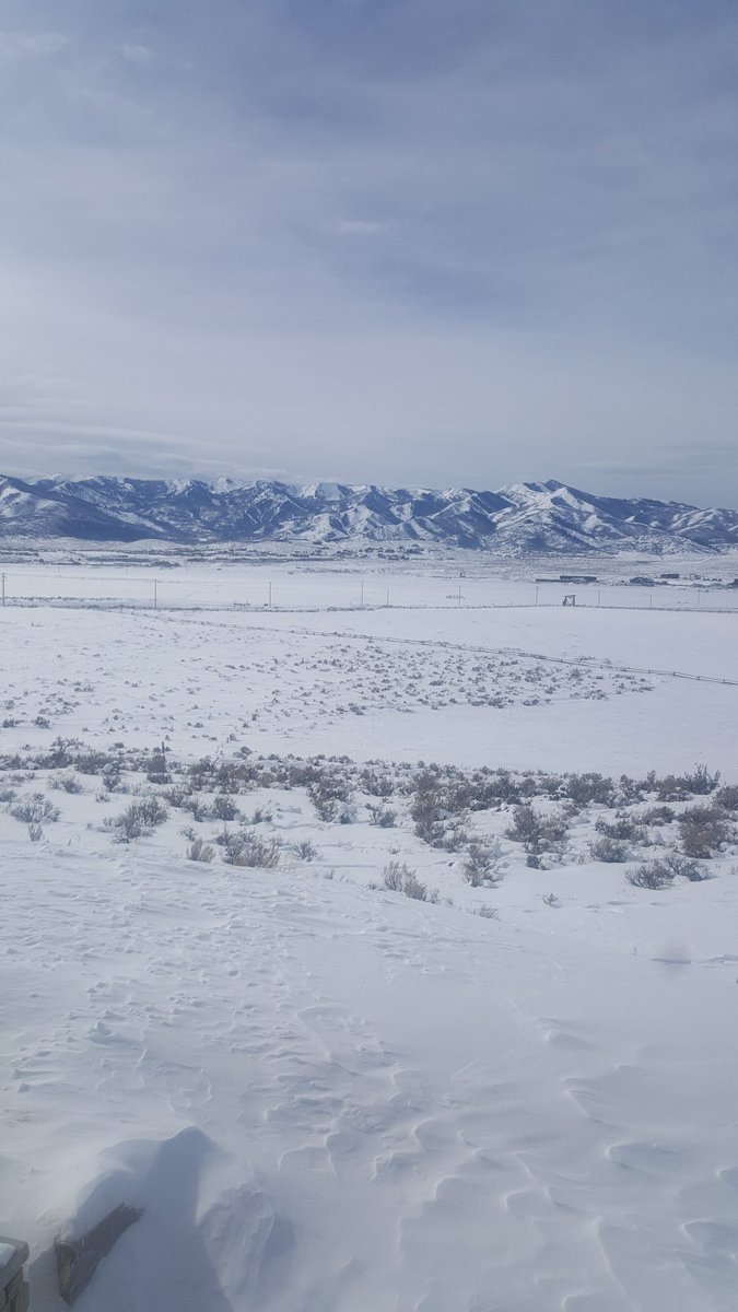 Diane_Warren's tweet image. This beach is amazing Kellyanne!!! #alternatefacts