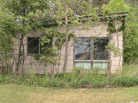 Suffocating by weeds and trees.  #abandoned #abandonedhouses #traveling buff.ly/2khn9jU