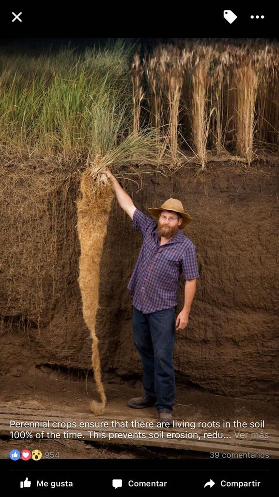 Tomás Oesterheld 🇦🇷 tweet media