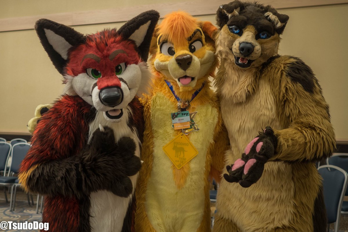 TsudoDog's tweet photo. It was nice to say hi and meet @Sunny_Dingo at #MWFF2016 w/ @Raevos_c  hope to see you again at another con soon ^. ^ FWA maybe? https://t.co/6vT0hqYT0C