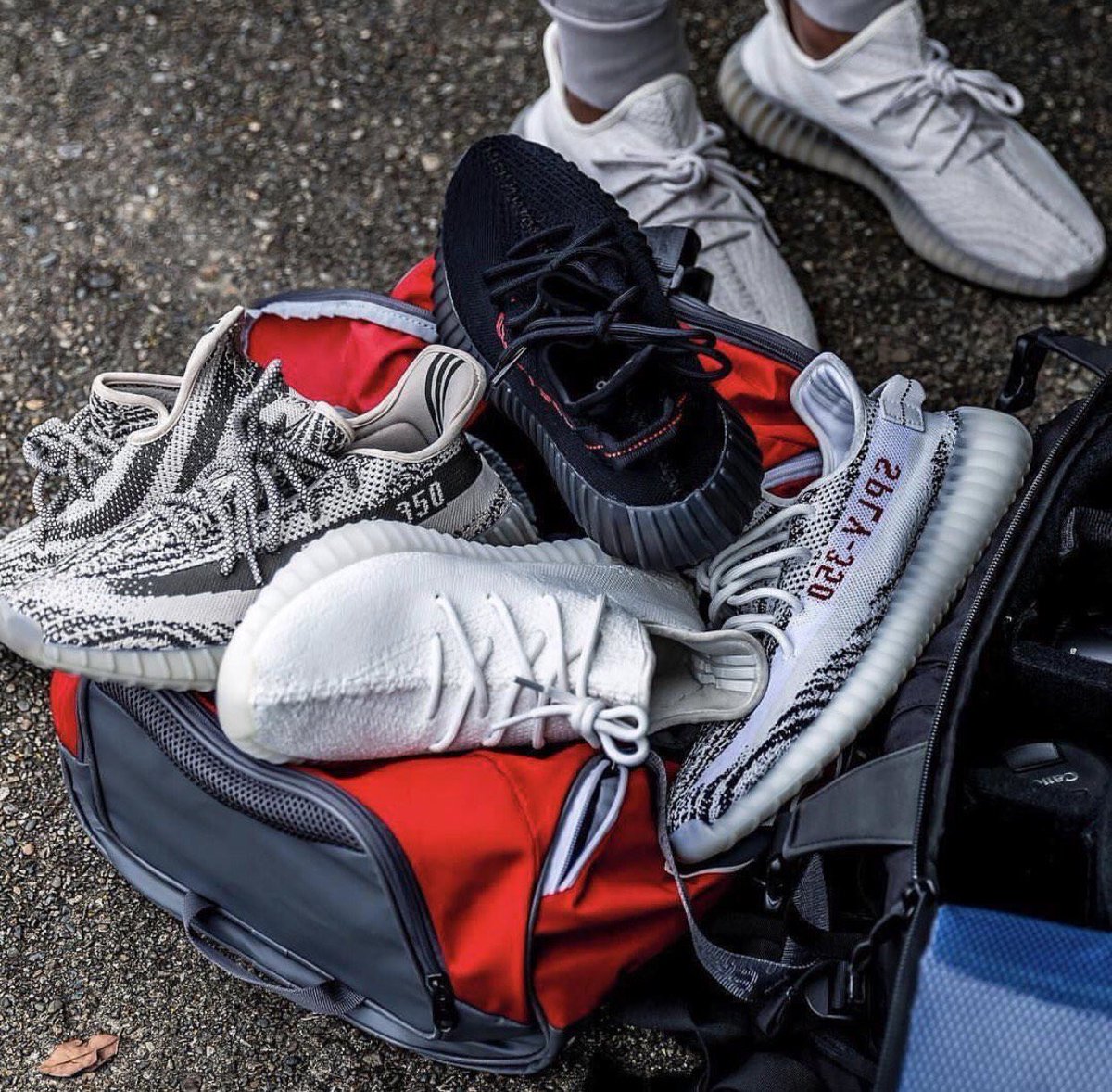 yourbotplug's tweet image. #YeezySeason is approaching us! 
DM for info for Anb Aio w/ updates 
You don't want to sleep🔥 
#YEEZY 
#yzyszn 
#kanye
#YEEZYBOOST350V2