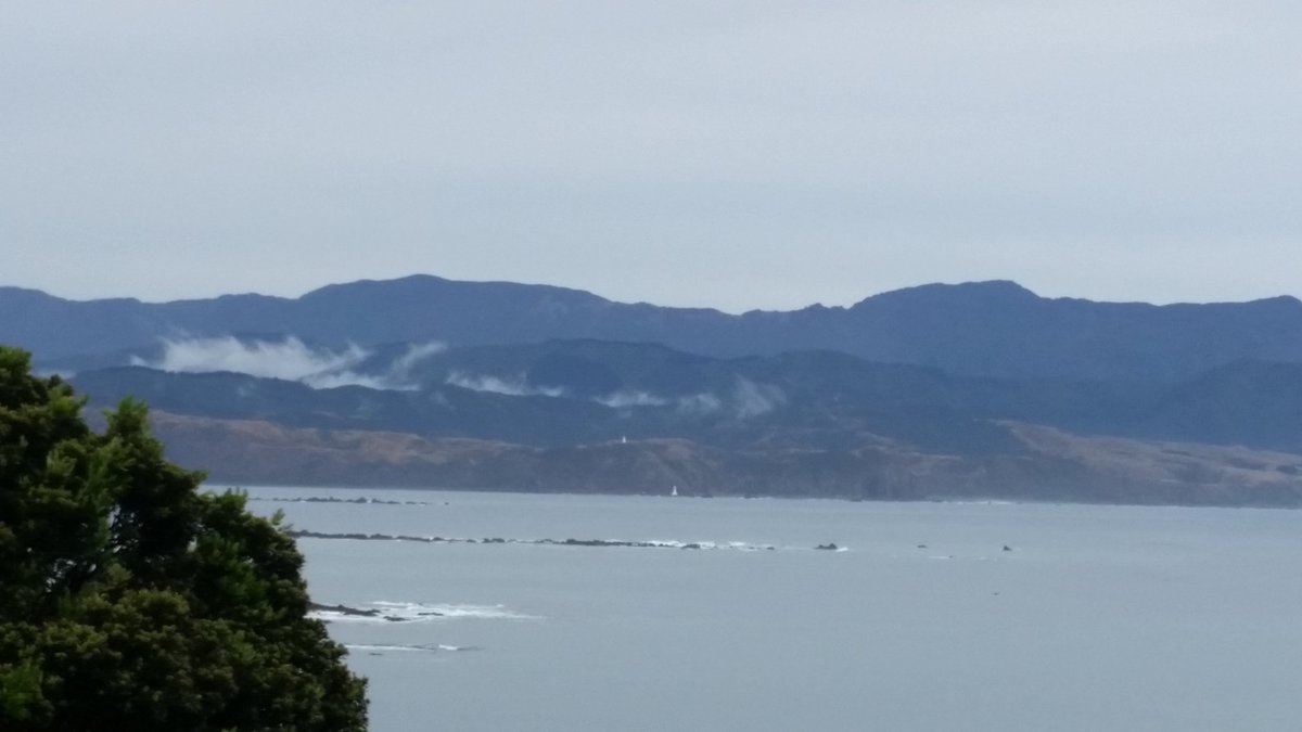 suejclement's tweet photo. Watery silver grey morning here in Island Bay. Waiting for summer. https://t.co/DcWRn6wJoe