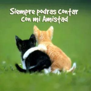 FOglaniel's tweet image. Así es...