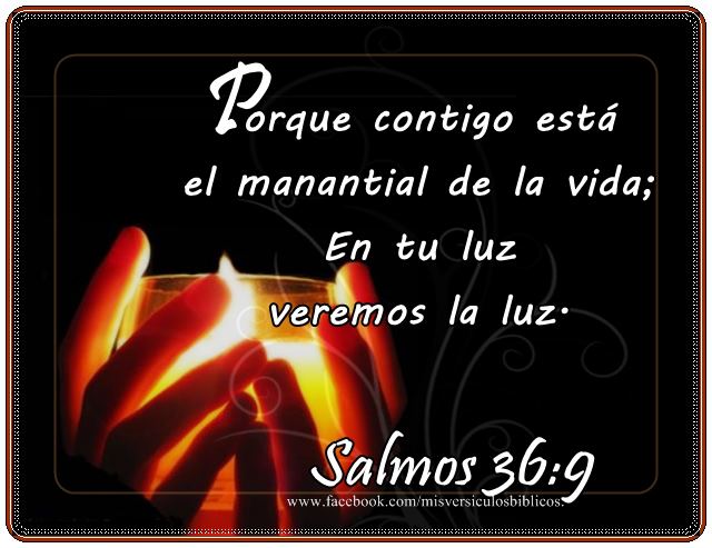 GracejoPadre's tweet photo. @maritorsal @ssigry @normasanchez7 @AhmarHawa @leandrojuez @freddypatri @Merlhina @Charo88Alicia ¡Qué belleza d publicación! ¡Gracias María! https://t.co/7zSBzWggBy