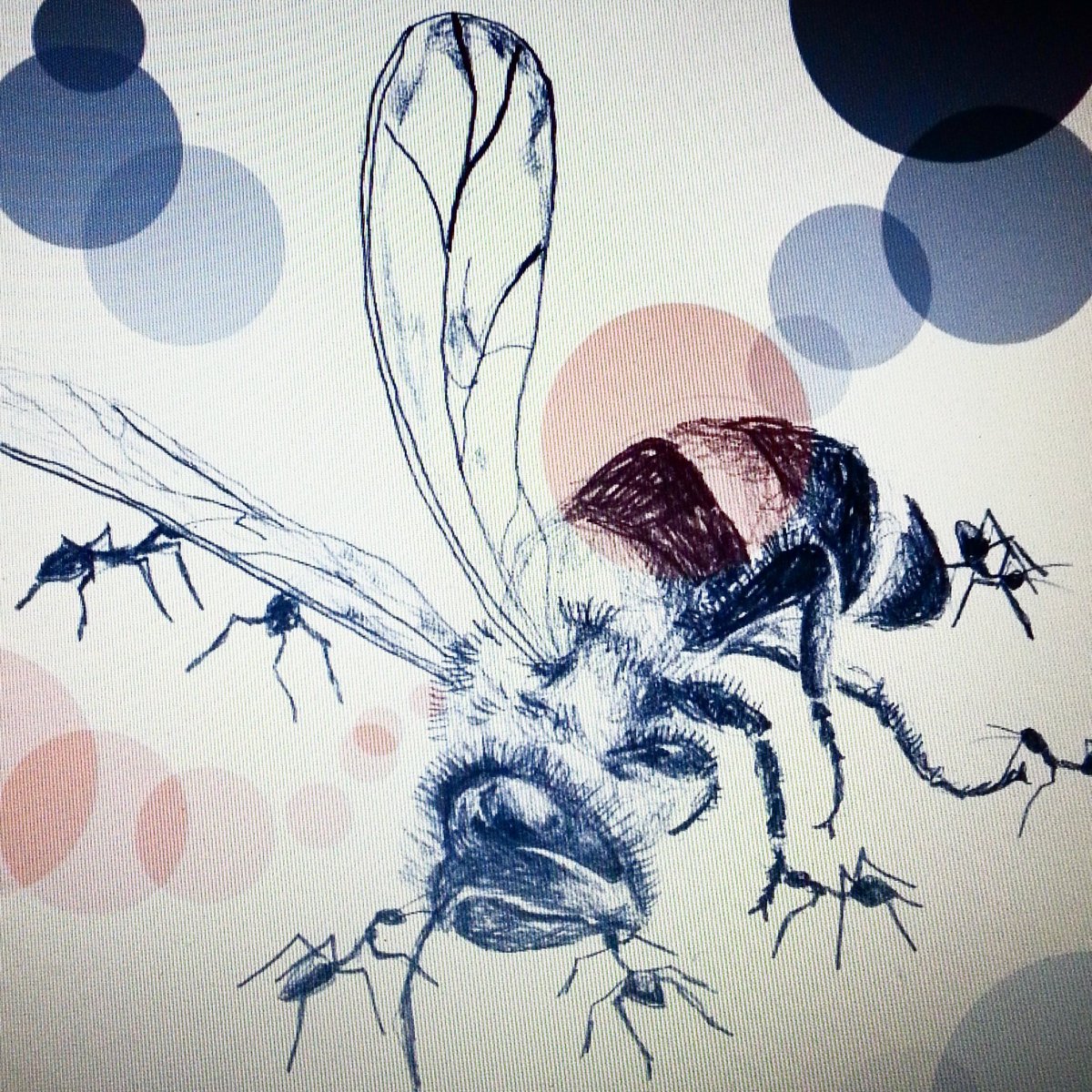 StudioElsbeth's tweet photo. Last page...#deadbee #bee #digitalcollage #picturebook #StudioElsbeth #circleoflife #illustration #art #ants #Flowthegirlwhofellfromtheskies https://t.co/Ya4BtiM0el