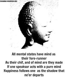 Dhamma_Warrior's tweet photo. https://t.co/KpsxvDAmvD