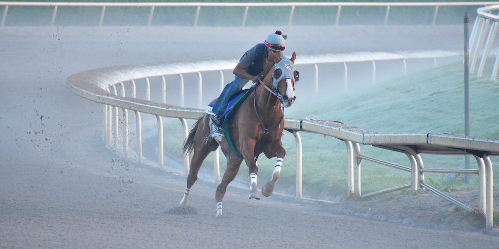 ElDatoGanador_'s tweet image. RESUMEN DE PRONOSTICO DOMINGO 22-01-17 LA RINCONADA:

#MALICIA (X)
#SEBASTIANZETA (X)
#KITTENC (3RA)
#THEGREATTOY ()