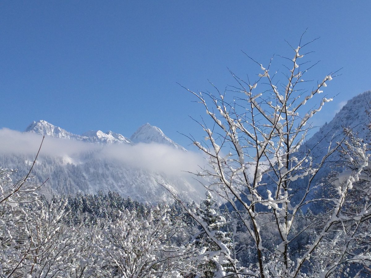 something #pure, #white and #beautiful against the current madness: #snow in #Allgaeu #winter wonderland. #mountains, no Donald
