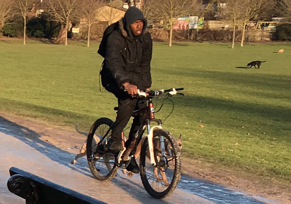 Linzi333's tweet image. Our dog was attacked and killed in @CrystalPalacePK park 21/01/17. The owner fled before speaking to police. Please share so we can find him