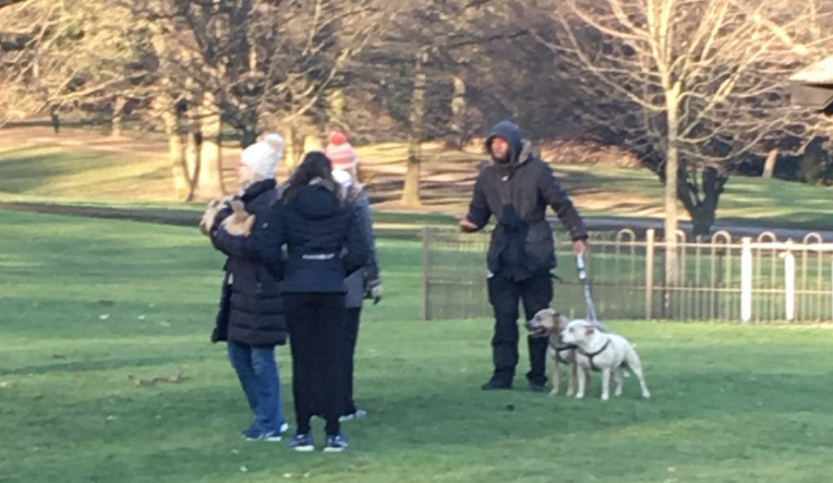 Linzi333's tweet image. Our dog was attacked and killed in @CrystalPalacePK park 21/01/17. The owner fled before speaking to police. Please share so we can find him