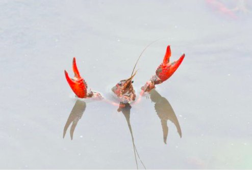 FireAndIceMix's tweet image. no
wonder 
it's 
called 
the 
wack 
pack. 
because 
you
 guys 
are 
.
.
.
.
.
.
.
.
.
.
.
.
.
.
.
.
.
W
A
C
K

@DarkiceDojo