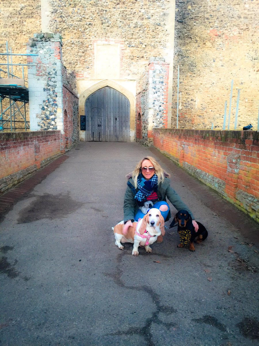 MissLilyPie's tweet photo. @bunnyrabbitdach lol of course Steak,cheese and hoomum smells are best ever! Here we are our hoomum 😘 https://t.co/zkOf1uNi6M