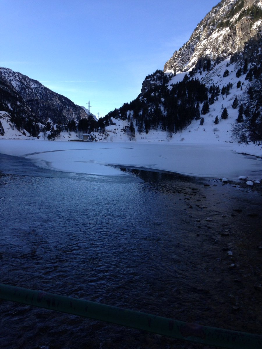 Pyreneesflyfish tweet picture