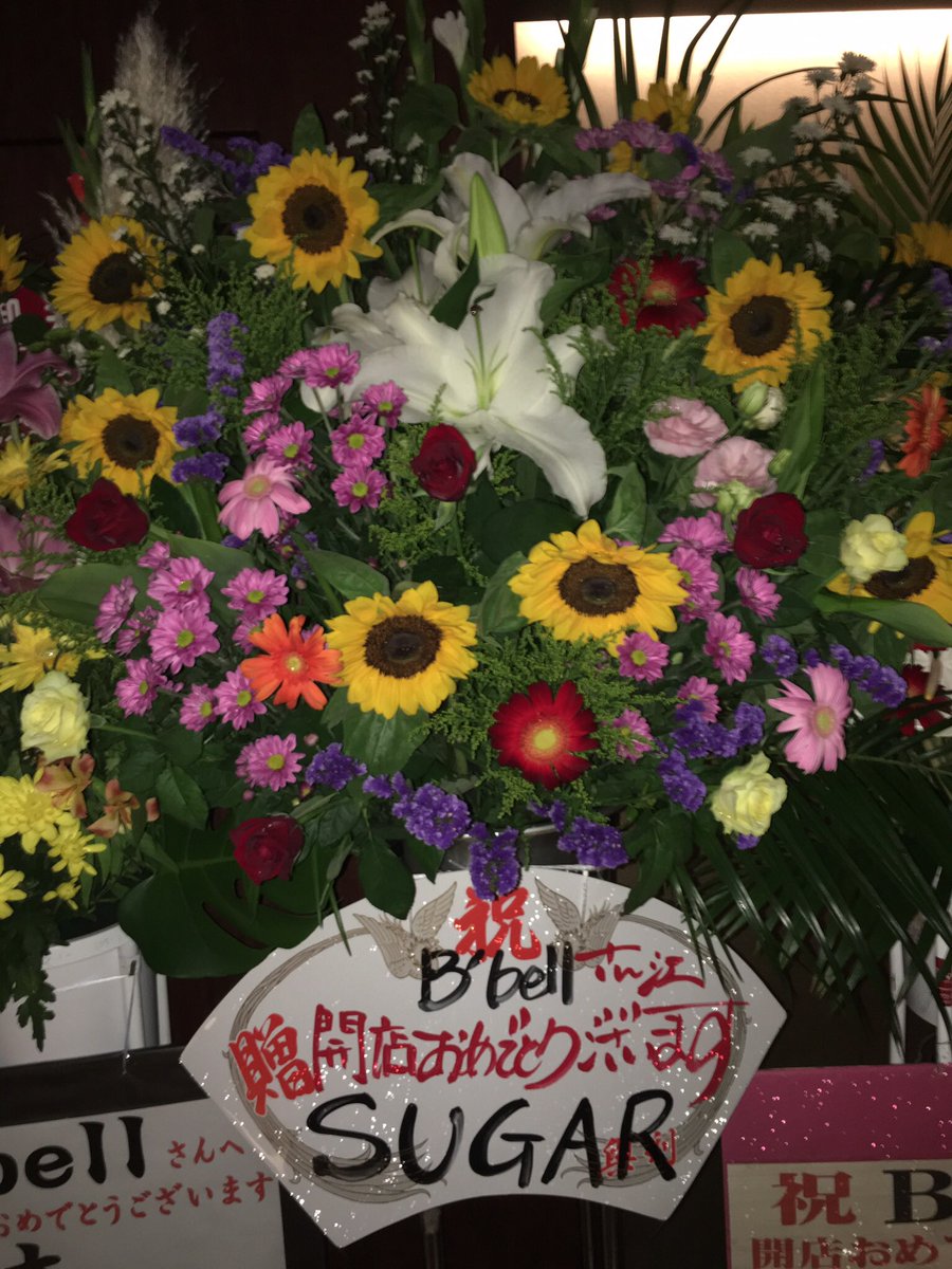 南 美鈴 Twitterの使い方とinstagramの 使い方がいまいち分からない 初更新だけど 出来てるのか B Bell Openして6ヶ月目 毎日お陰様で楽しく酔ってます 笑 T Co Yroezsz17x B Bell Open 酔っ払い T Co Kl6n1er8kl 南 美鈴 Twitterの使い方とinstagramの 使い方がいまいち分からない 初更新だけど 出来てるのか B Bell Openして6ヶ月目 毎日お陰様で楽しく酔ってます 笑 T Co Yroezsz17x B Bell Open 酔っ払い T Co Kl6n1er8kl