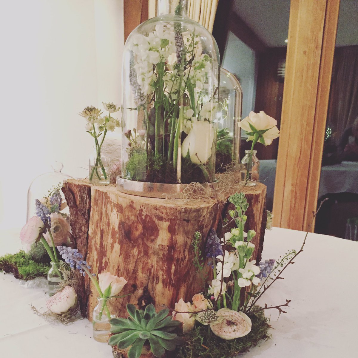 Bluebells & Daisies tweet media