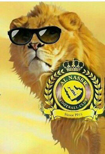 S__l__mn's tweet photo. كلما اتذكر اني #عالمي اعتز بنفسي اكثر ليش لا والعالمي هو الوحيد الي ينافس على كل البطولات وجارنا يدور العويس للحين😂😂 https://t.co/5wda1WgTNR