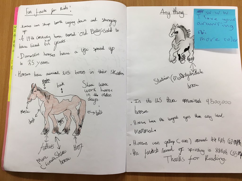 BCPS_Earlyhelp's tweet photo. Wow! Very creative learning journals this week. Well done Eduards, Katie, Zaara and Faiza @BCPSDeputy https://t.co/EEzgSznMBm
