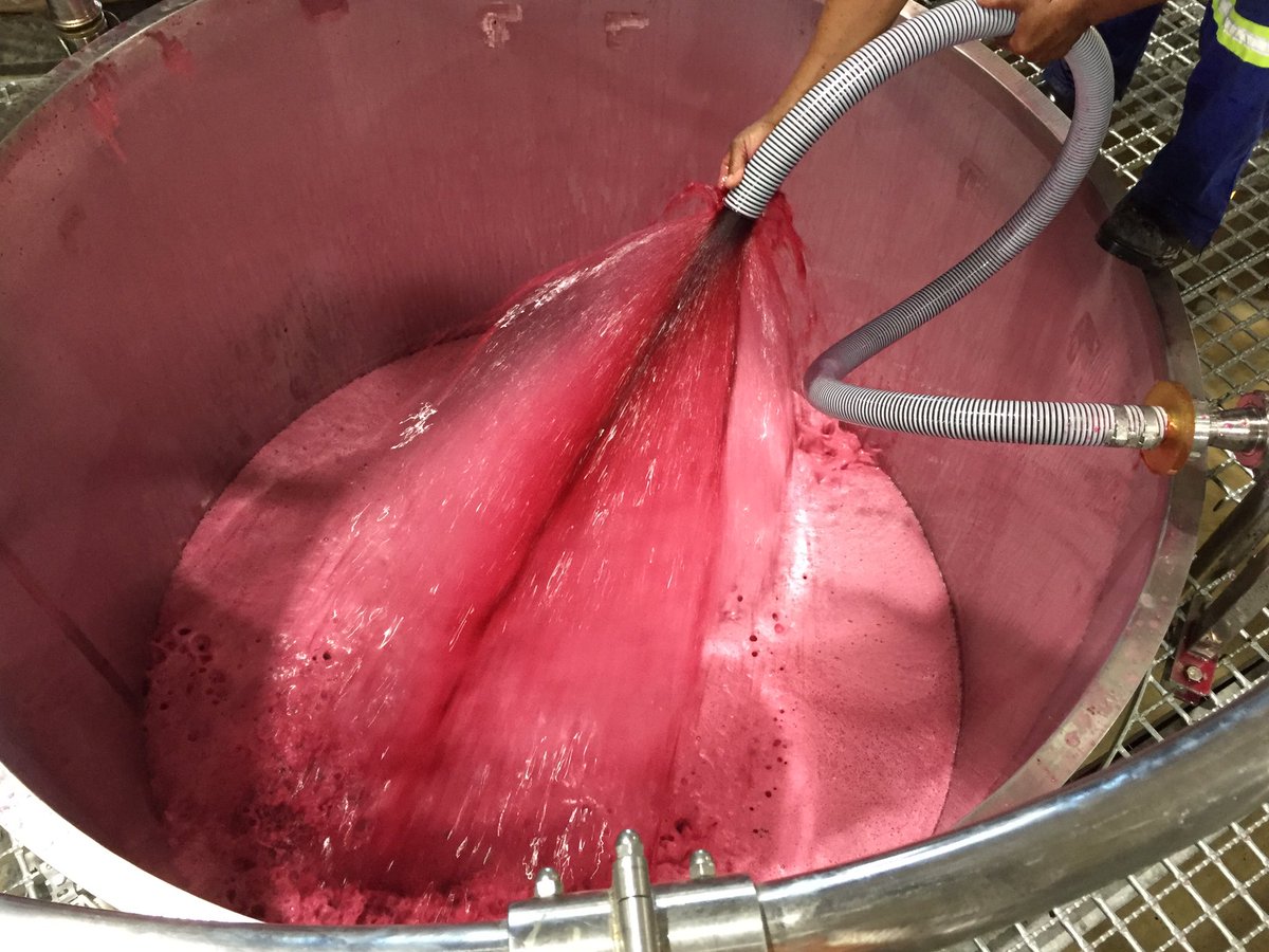 Gravity winemaking vs not. The debate is probably as old as cork vs screwcap but giving it a bash anyway, who knows...maybe... @chefdecaves