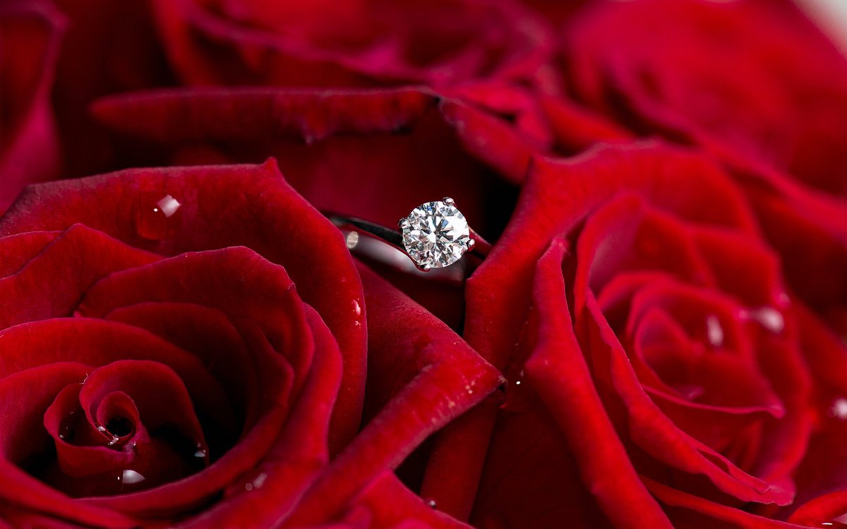 HappeningsMag's tweet photo. Our Valentine's Day gift guide with ideas from local stores @ChocolatesbyLeo @ENatural @StevePronkos @VintageMeegan https://t.co/UyaAnTIUsH https://t.co/j2J8JVldhr