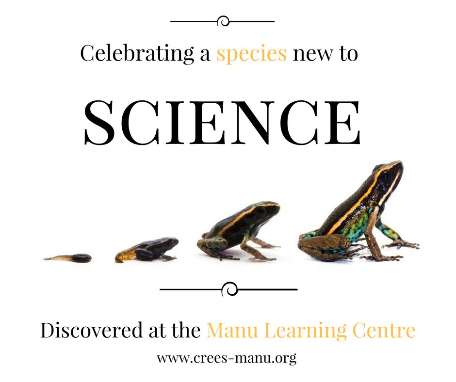 New discovery to science in the Amazon crees-manu.org/new-discovery-…