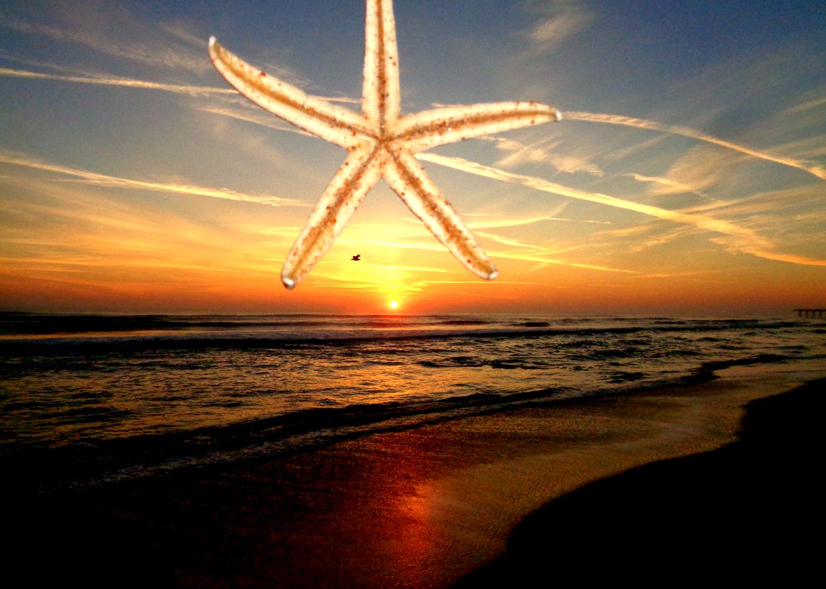 Happy Monday from Flagler <a href="/enjoyFlaglerBch/">enjoy Flagler Beach</a>  @USAsunrise <a href="/MyNews13/">Spectrum News 13</a>