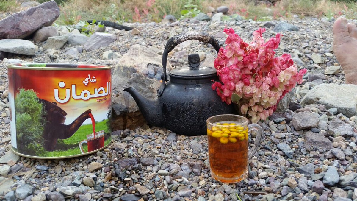 نجول و ربيع ديرة الفرع
بوادي الصفراء
شمال شرق #محافظة_بدر
تصوير عضو الفريق
المبدع
أمجد الكحيلي
<a href="/amjd03/">امجد_الكحيلي صدئ_الخيف</a>

#مكشات_المدينة
#طقس #المدينة_المنورة