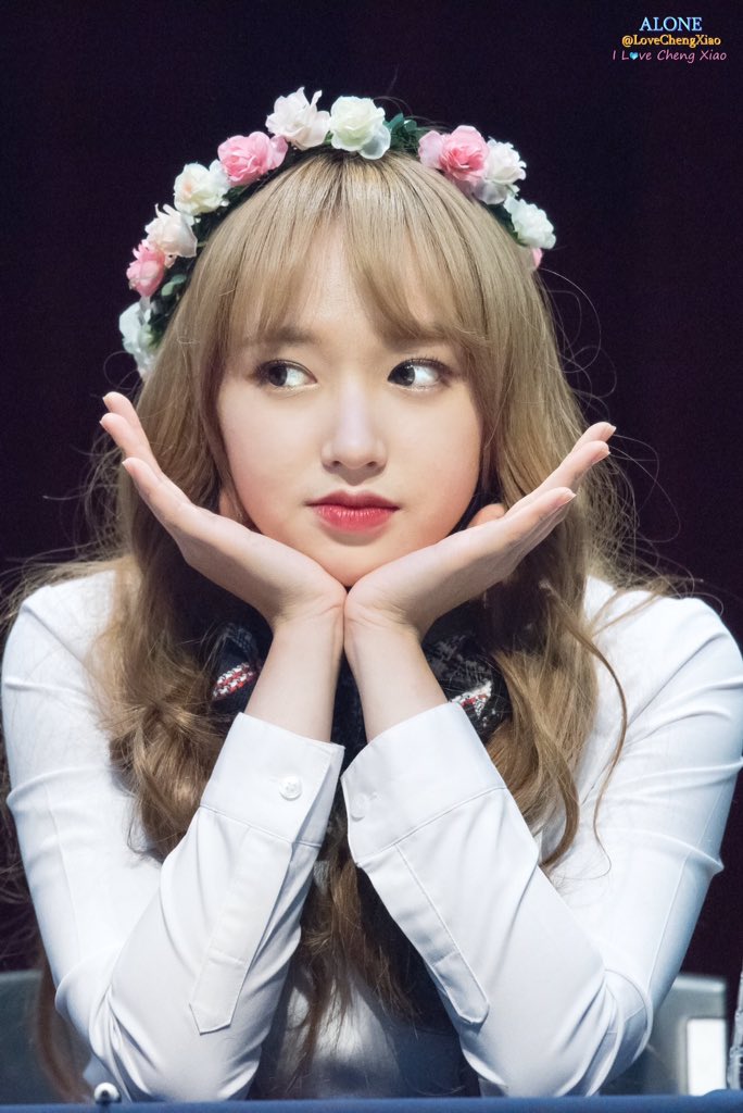 THEIKIGAI's tweet photo. 36. ChengXiao ( @wujuciao ) from WJSN. https://t.co/cpflNm2fTf