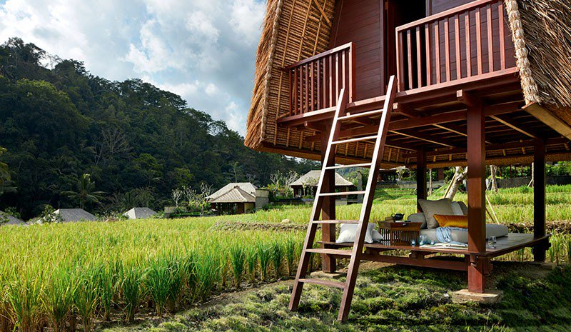 We check in to two very different hotels in Bali – Mandapa, A Ritz-Carlton Reserve and Katamama: goo.gl/9WJWs8 | #Travel