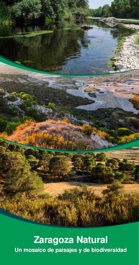 medioambienteZ's tweet photo. #Zaragoza Natural, un mosaico de paisajes y de #biodiversidad: https://t.co/1wxH66j4an (Descarga guía en pdf)
vía @LIFEzgznatural https://t.co/FRHWQXNbSP