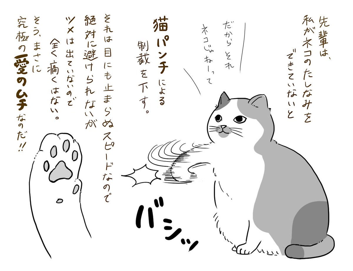 卯月よう ネコホスト連載中 ねこパンチを教わりたいトラ