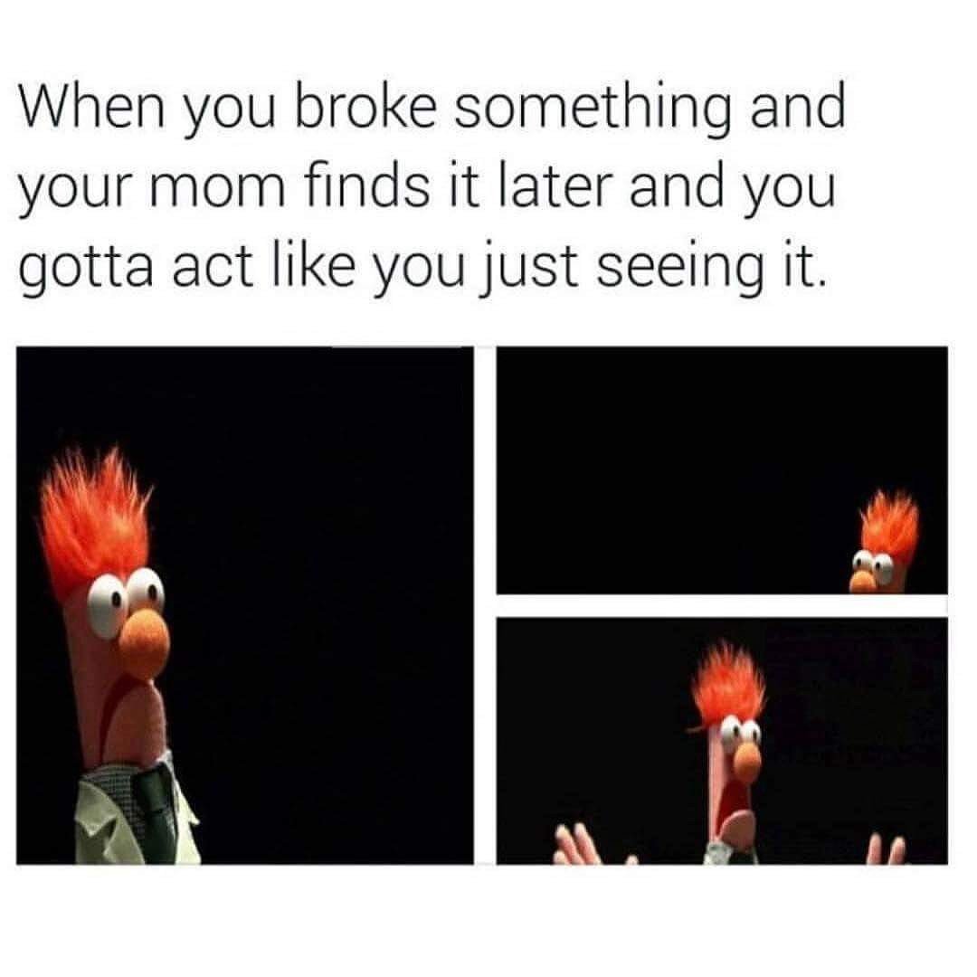 😂😂😂😂😂😅